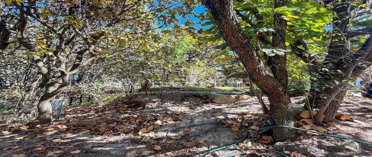 Foto de terreno habitacional en venta en avenida del bufalo , ciudad bugambilia, zapopan, jalisco, 26038033 No. 04