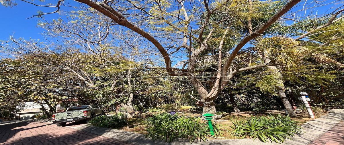 Foto de terreno habitacional en venta en avenida del bufalo , ciudad bugambilia, zapopan, jalisco, 26038033 No. 05