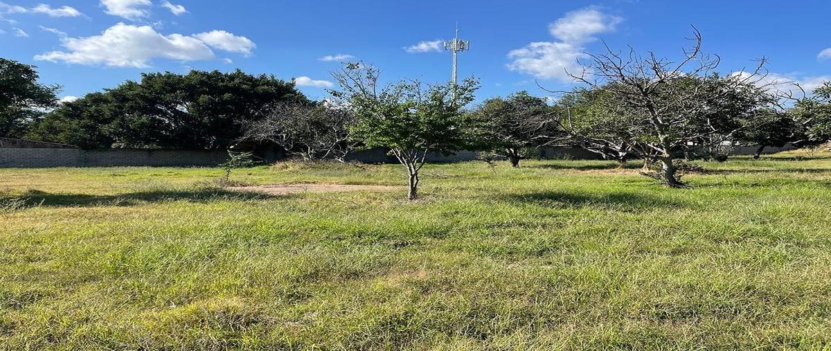 Foto de terreno habitacional en venta en avenida del cortijo , cima del sol, tlajomulco de zúñiga, jalisco, 0 No. 03