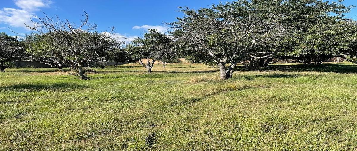 Foto de terreno habitacional en venta en avenida del cortijo , cima del sol, tlajomulco de zúñiga, jalisco, 0 No. 04