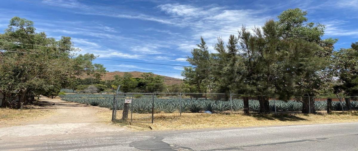 Foto de rancho en venta en avenida del cortijo , tlajomulco centro, tlajomulco de zúñiga, jalisco, 26432576 No. 02