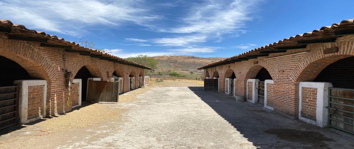 Foto de rancho en venta en avenida del cortijo , tlajomulco centro, tlajomulco de zúñiga, jalisco, 26432576 No. 05