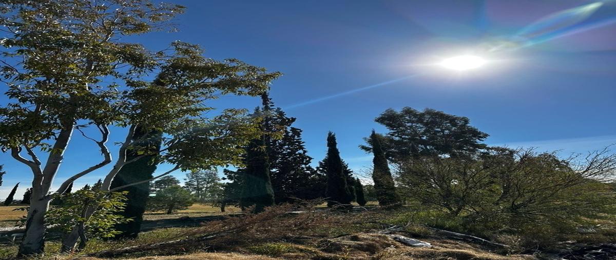 Foto de terreno habitacional en avenida del desierto norte , residencial campestre del desierto, delicias, chihuahua, 27582763 foto 04 Foto de terreno habitacional en venta en avenida del desierto norte , residencial campestre del desierto, delicias, chihuahua, 27582763 No. 04