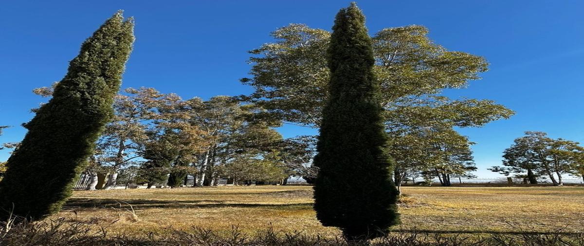 Foto de terreno habitacional en avenida del desierto norte , residencial campestre del desierto, delicias, chihuahua, 27582763 foto 05 Foto de terreno habitacional en venta en avenida del desierto norte , residencial campestre del desierto, delicias, chihuahua, 27582763 No. 05