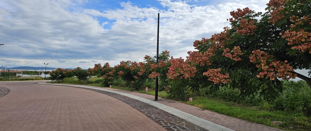 Foto de terreno habitacional en venta en avenida del ebano , ciudad maderas, el marqués, querétaro, 30371672 No. 03