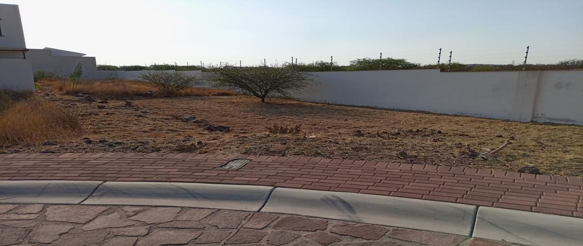 Foto de terreno habitacional en venta en avenida del ébano, condominio la loma , ciudad maderas, el marqués, querétaro, 28772440 No. 05