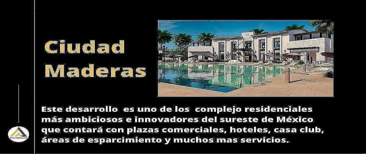 Foto de terreno habitacional en venta en avenida del parque cietifico , sierra papacal, mérida, yucatán, 0 No. 05