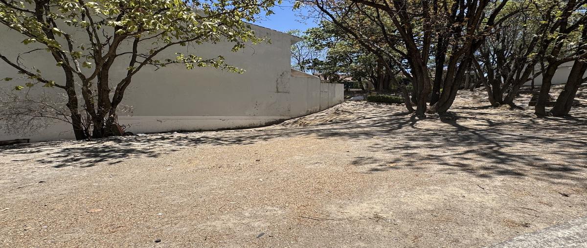 Foto de terreno habitacional en venta en avenida del reno poniente , bugambilias country, zapopan, jalisco, 29792612 No. 05