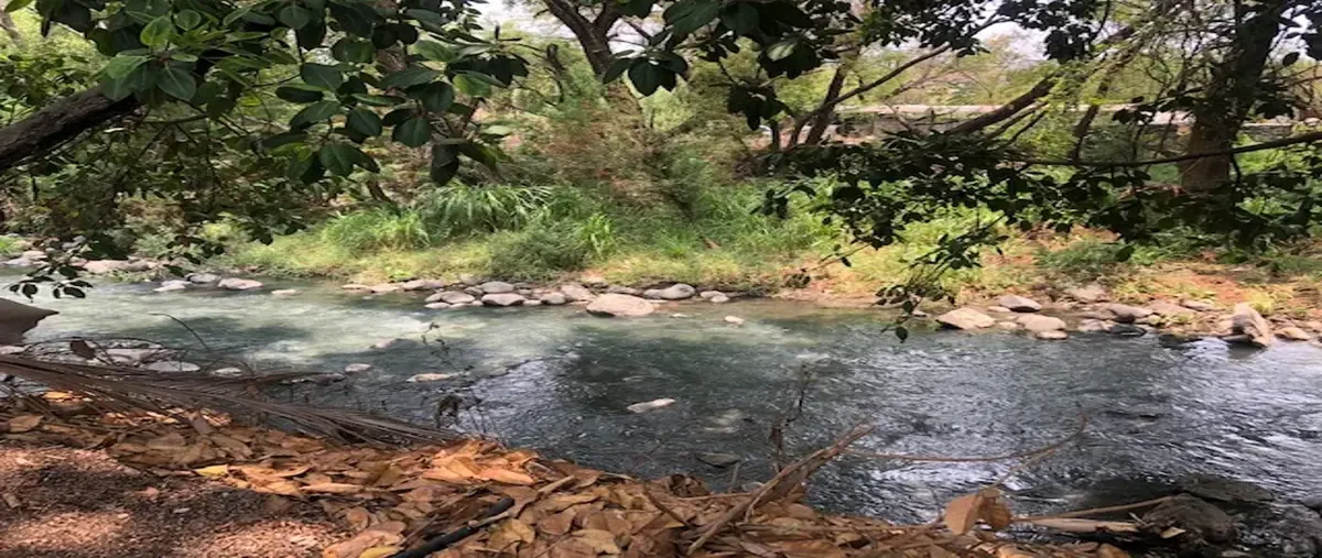 Foto de rancho en venta en avenida del rio 01, oaxtepec centro, yautepec, morelos, 30359624 No. 04