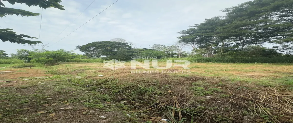 Foto de terreno habitacional en avenida del sureste 123, pomoca, nacajuca, tabasco, 30159227 foto 05 Foto de terreno habitacional en venta en avenida del sureste 123, pomoca, nacajuca, tabasco, 30159227 No. 05