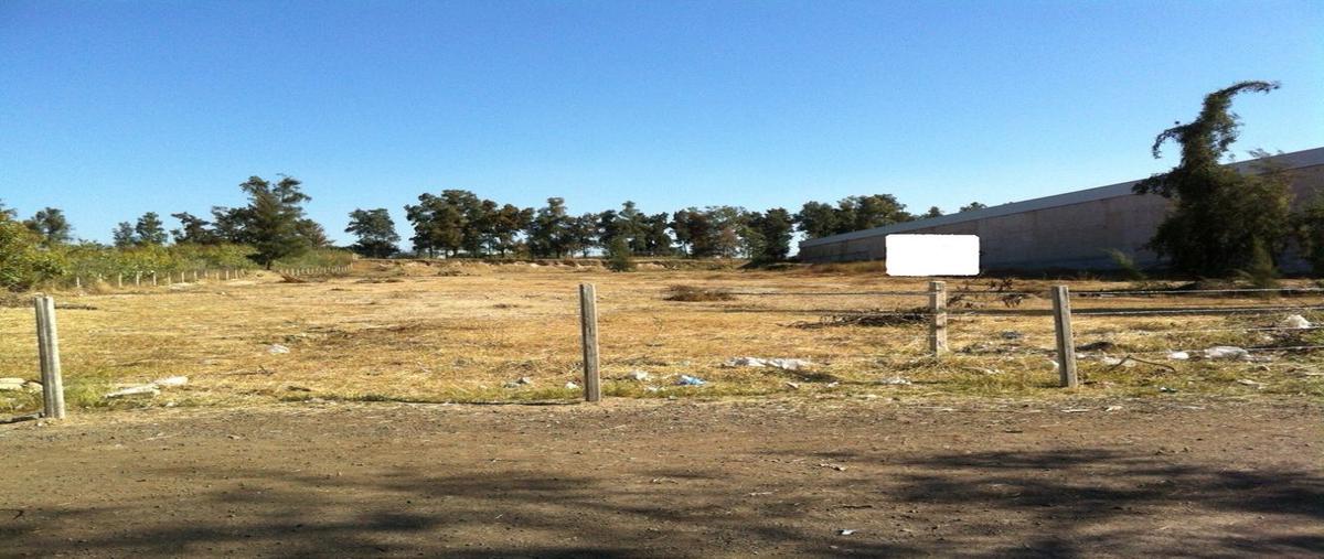 Foto de terreno comercial en venta en avenida del tigre , nuevo méxico, zapopan, jalisco, 24876308 No. 03