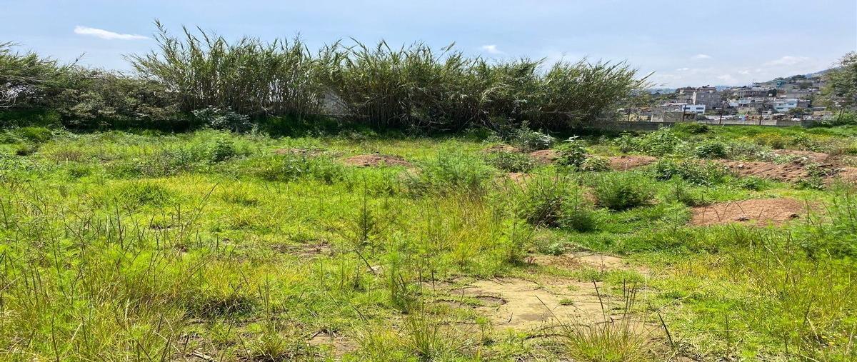Foto de terreno habitacional en venta en avenida desierto de los leones , san bartolo ameyalco, álvaro obregón, df / cdmx, 25450454 No. 04