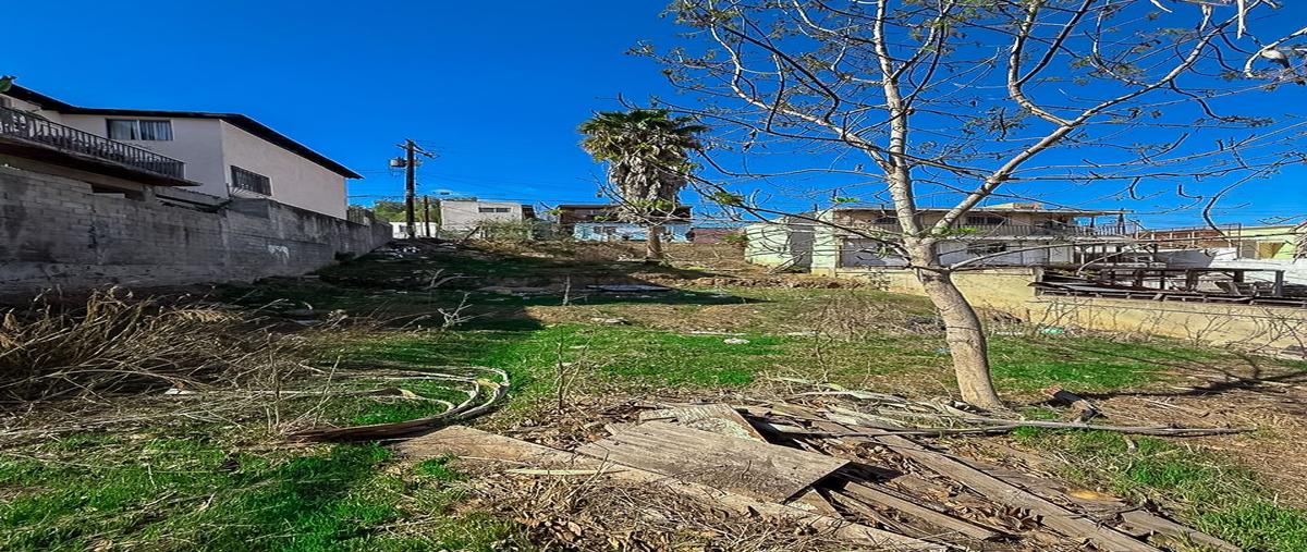 Foto de terreno habitacional en venta en avenida diaz miron , morelos, tijuana, baja california, 29324856 No. 03