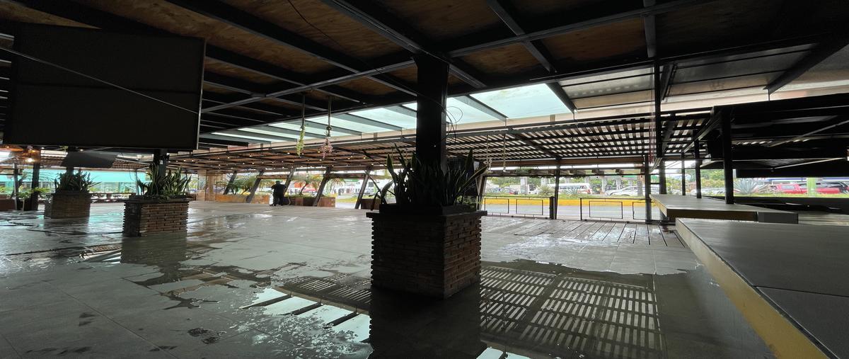 Foto de local en renta en avenida domingo diez , maravillas, cuernavaca, morelos, 0 No. 04