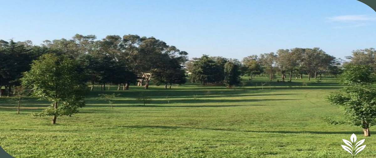 Foto de departamento en avenida ecónomos , rinconada del parque, zapopan, jalisco, 0 foto 03 Foto de departamento en venta en avenida ecónomos , rinconada del parque, zapopan, jalisco, 0 No. 03