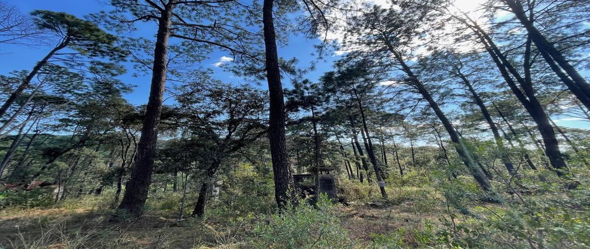 Foto de terreno habitacional en venta en avenida eduardo montaño sahagun , mazamitla, mazamitla, jalisco, 25951257 No. 05