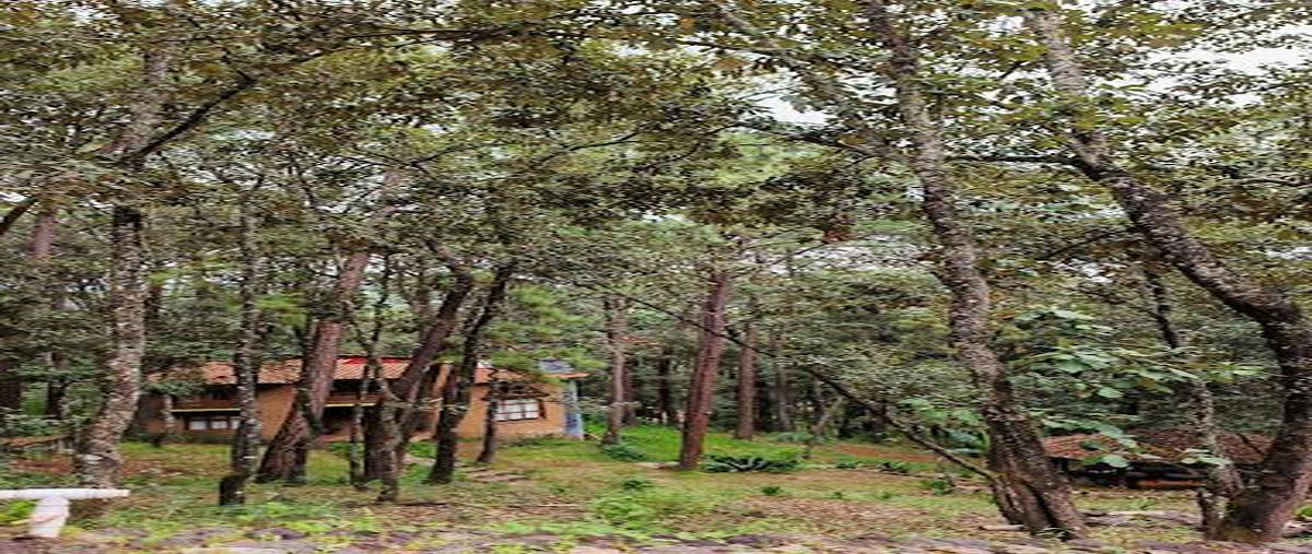 Foto de terreno habitacional en venta en avenida edurado montaño sahagonpaseo de los cazos , mazamitla, mazamitla, jalisco, 0 No. 02