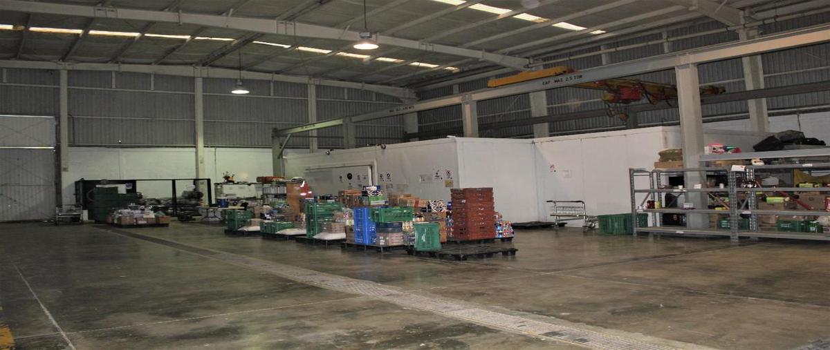 Foto de nave industrial en venta en avenida edzna 49-a, mundo maya, carmen, campeche, 24296767 No. 04