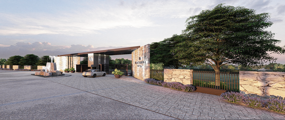 Foto de terreno habitacional en venta en avenida el bajio , el bajío, montemorelos, nuevo león, 29517772 No. 03