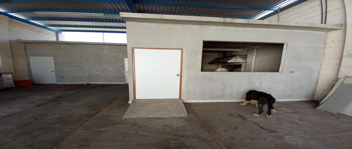 Foto de bodega en avenida el dorado , las quintas, culiacán, sinaloa, 28166737 foto 05 Foto de bodega en venta en avenida el dorado , las quintas, culiacán, sinaloa, 28166737 No. 05