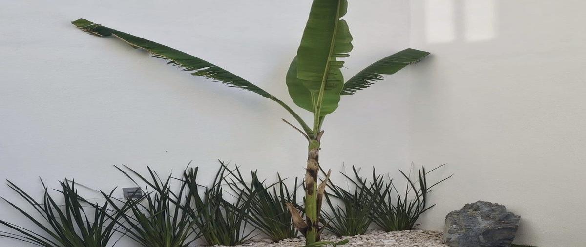 Foto de casa en venta en avenida el dorado , valle dorado, manzanillo, colima, 0 No. 05