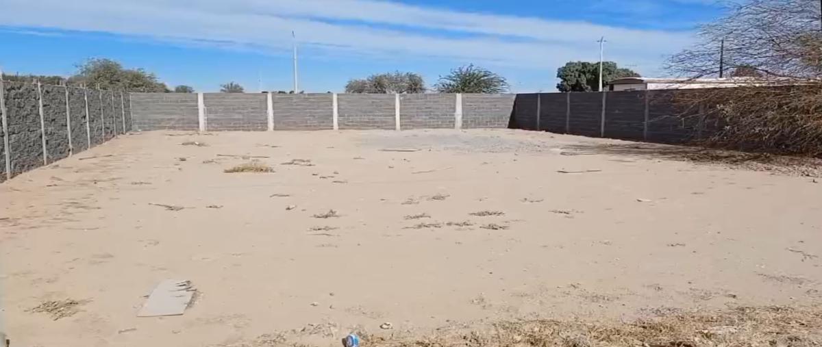 Foto de terreno habitacional en avenida el oasis , islas agrarias a, mexicali, baja california, 27206321 foto 02 Foto de terreno habitacional en venta en avenida el oasis , islas agrarias a, mexicali, baja california, 27206321 No. 02