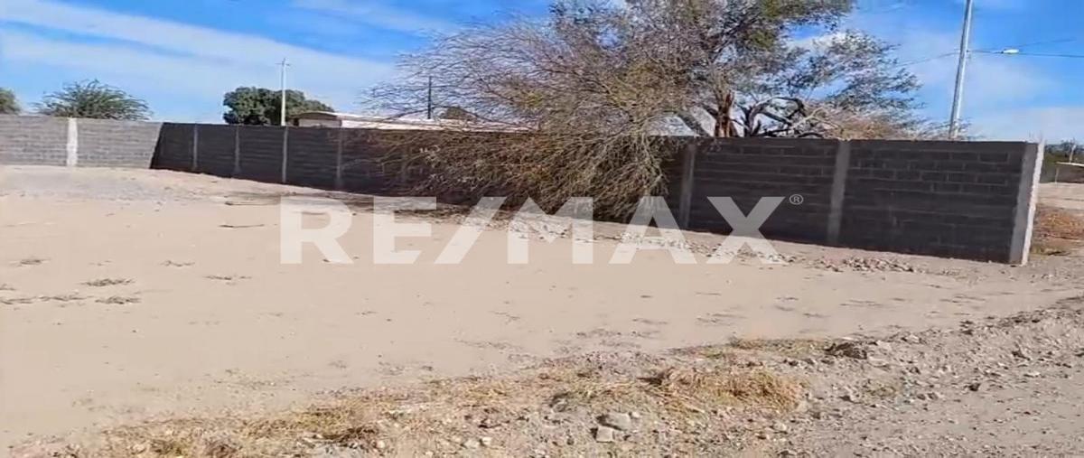 Foto de terreno habitacional en avenida el oasis , islas agrarias a, mexicali, baja california, 27206321 foto 03 Foto de terreno habitacional en venta en avenida el oasis , islas agrarias a, mexicali, baja california, 27206321 No. 03