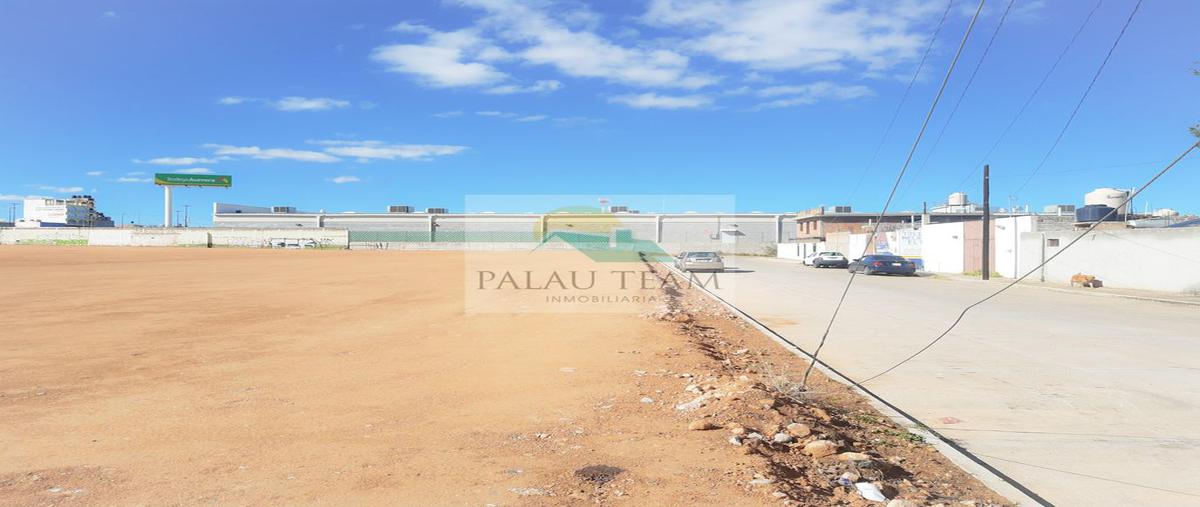 Foto de terreno comercial en renta en avenida enrique estrada 702, roque estrada r, fresnillo, zacatecas, 16440334 No. 05