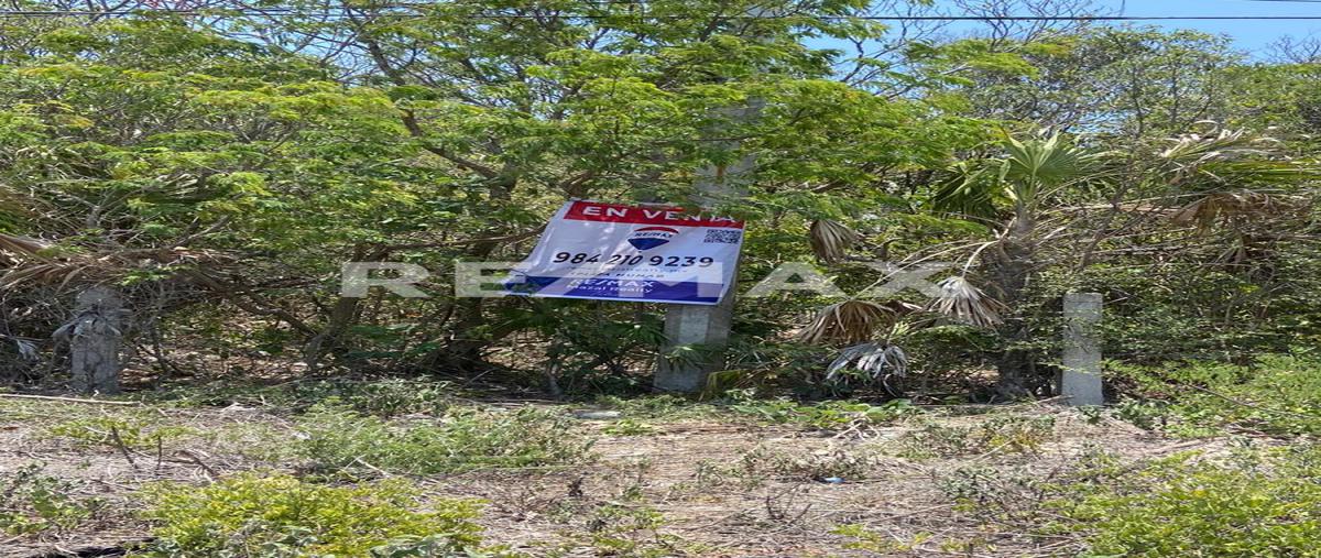 Foto de terreno habitacional en avenida federal , san silverio, solidaridad, quintana roo, 26413305 foto 05 Foto de terreno habitacional en venta en avenida federal , san silverio, solidaridad, quintana roo, 26413305 No. 05