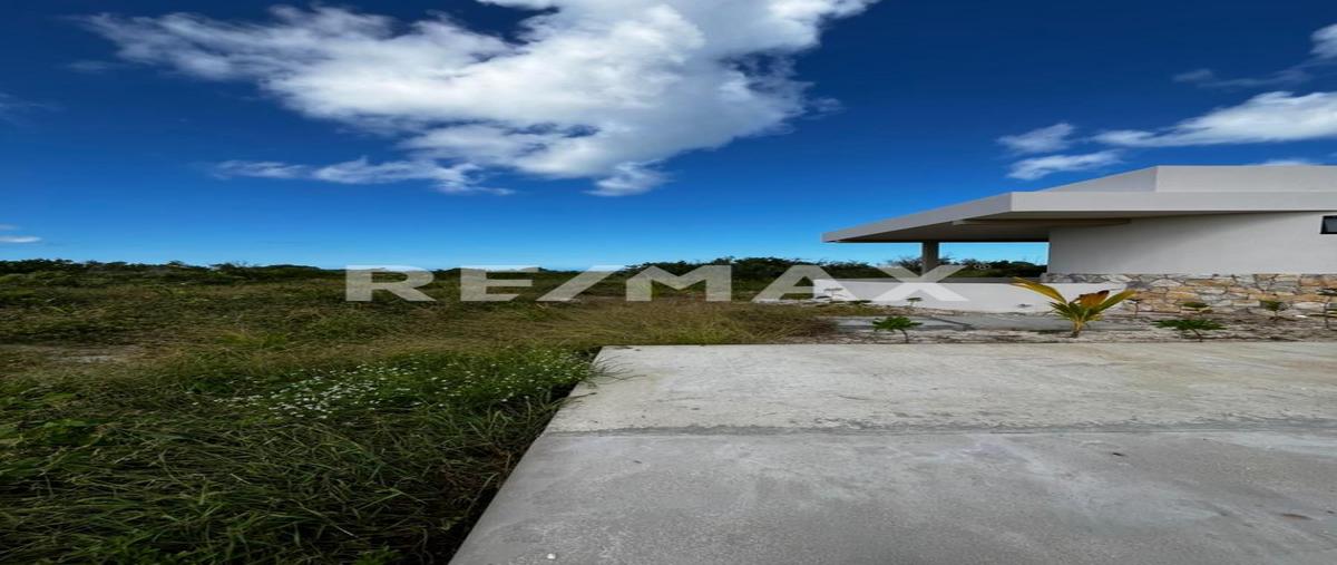 Foto de terreno habitacional en avenida felipe carrillo puerto , sisal, hunucmá, yucatán, 25778505 foto 01 Foto de terreno habitacional en venta en avenida felipe carrillo puerto , sisal, hunucmá, yucatán, 25778505 No. 01