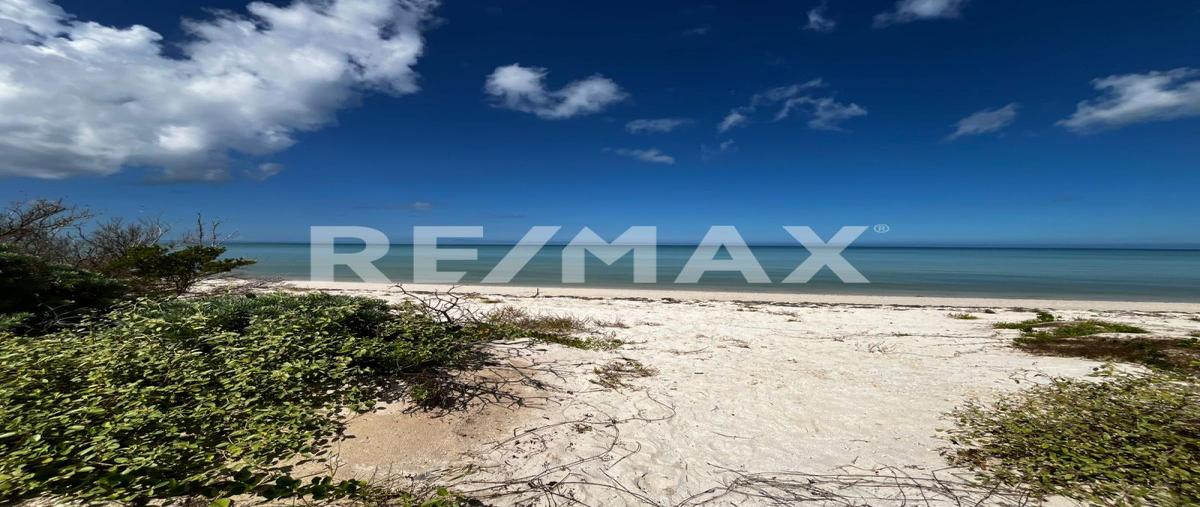 Foto de terreno habitacional en avenida felipe carrillo puerto , sisal, hunucmá, yucatán, 25778505 foto 02 Foto de terreno habitacional en venta en avenida felipe carrillo puerto , sisal, hunucmá, yucatán, 25778505 No. 02