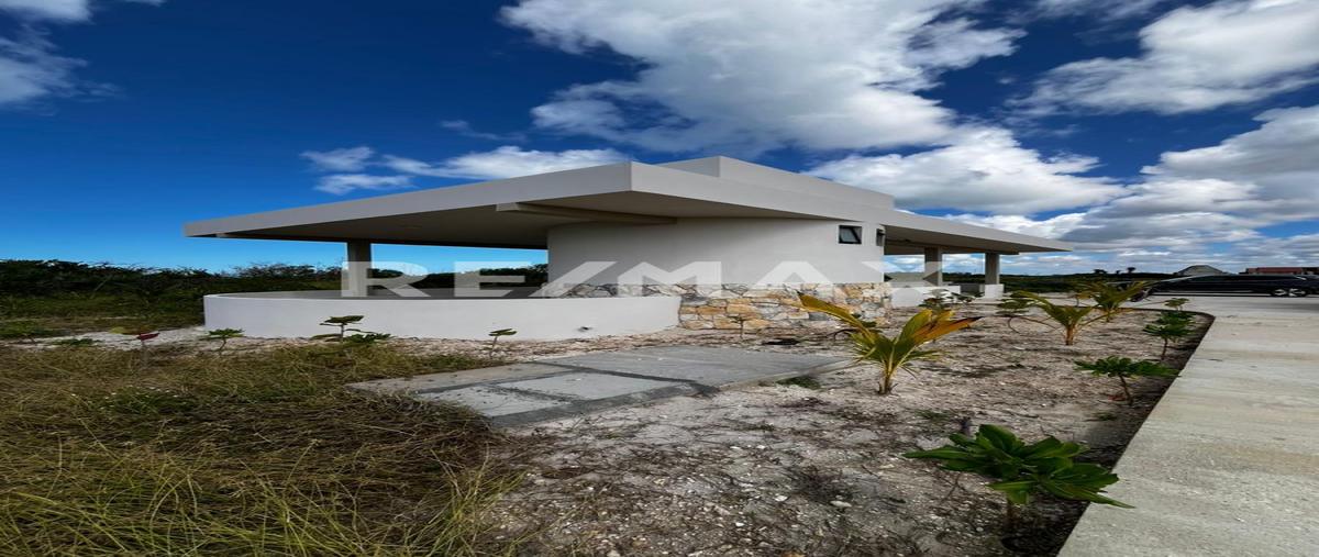 Foto de terreno habitacional en avenida felipe carrillo puerto , sisal, hunucmá, yucatán, 25778505 foto 05 Foto de terreno habitacional en venta en avenida felipe carrillo puerto , sisal, hunucmá, yucatán, 25778505 No. 05