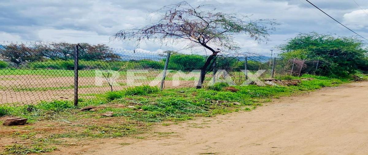 Foto de terreno habitacional en venta en avenida ferrocarril , san isidro monjas, santa cruz xoxocotlán, oaxaca, 0 No. 03