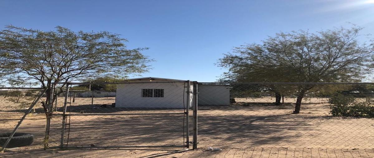 Foto de casa en venta en avenida flores , solidaridad, san luis río colorado, sonora, 0 No. 01