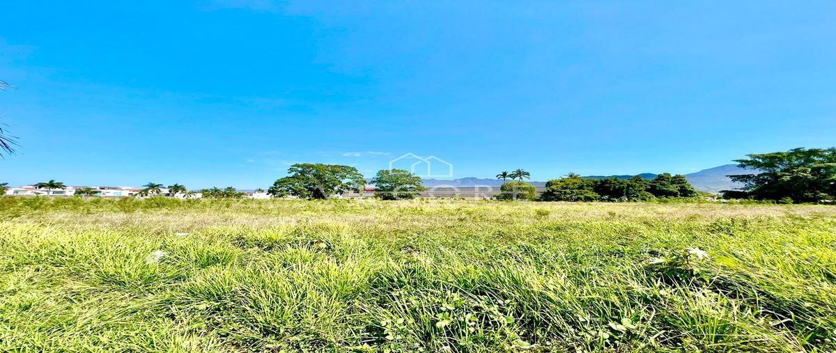 Foto de terreno habitacional en venta en avenida fluvial vallarta , residencial fluvial vallarta, puerto vallarta, jalisco, 24826749 No. 04