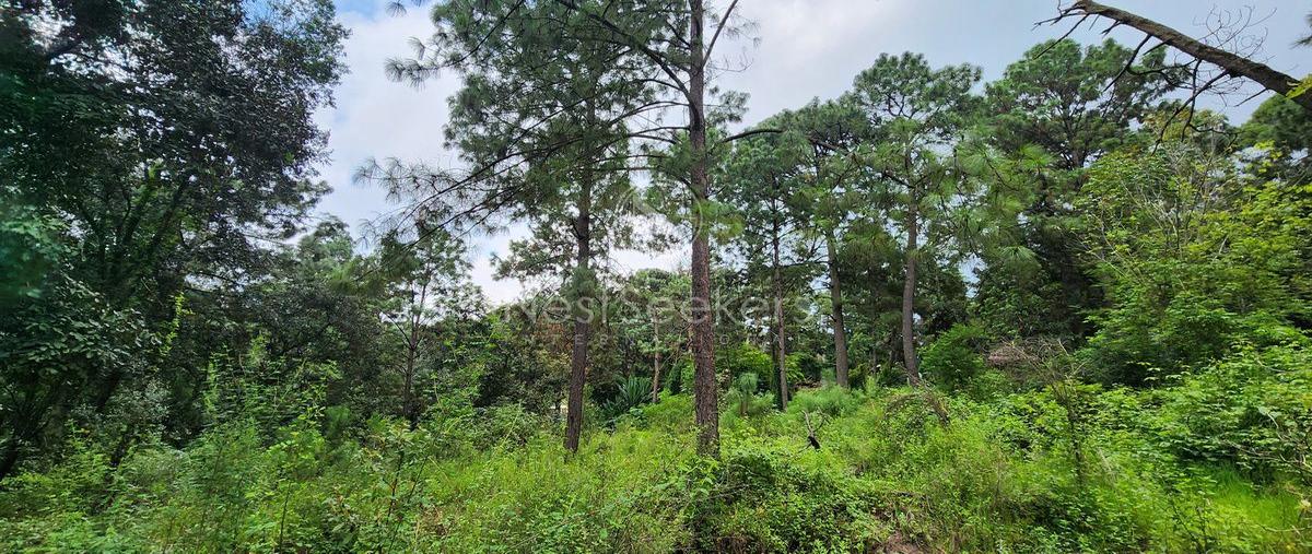 Foto de terreno habitacional en avenida fontanas , avándaro, valle de bravo, méxico, 0 foto 01 Foto de terreno habitacional en venta en avenida fontanas , avándaro, valle de bravo, méxico, 0 No. 01