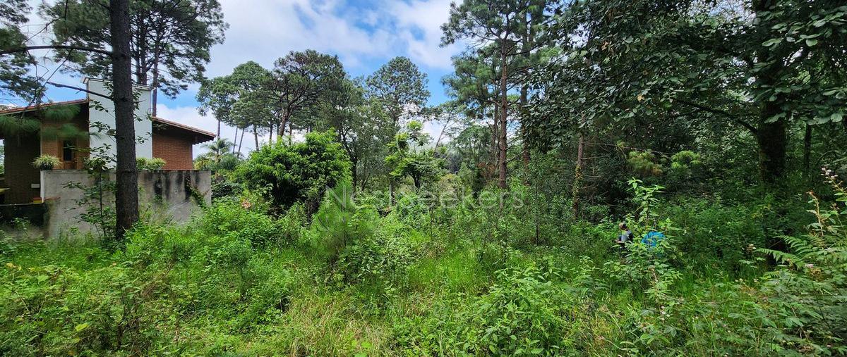 Foto de terreno habitacional en avenida fontanas , avándaro, valle de bravo, méxico, 0 foto 04 Foto de terreno habitacional en venta en avenida fontanas , avándaro, valle de bravo, méxico, 0 No. 04