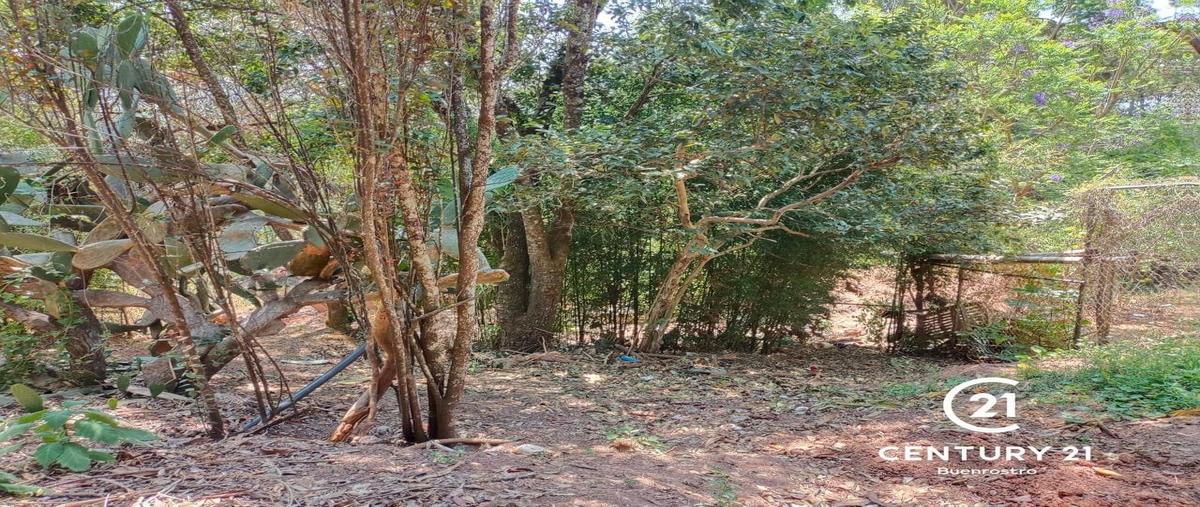 Foto de terreno habitacional en venta en avenida fontanas , avándaro, valle de bravo, méxico, 29458396 No. 04