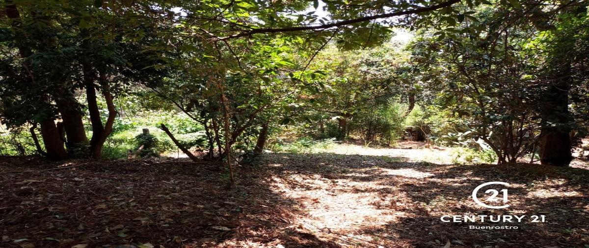 Foto de terreno habitacional en venta en avenida fontanas , avándaro, valle de bravo, méxico, 29458396 No. 06