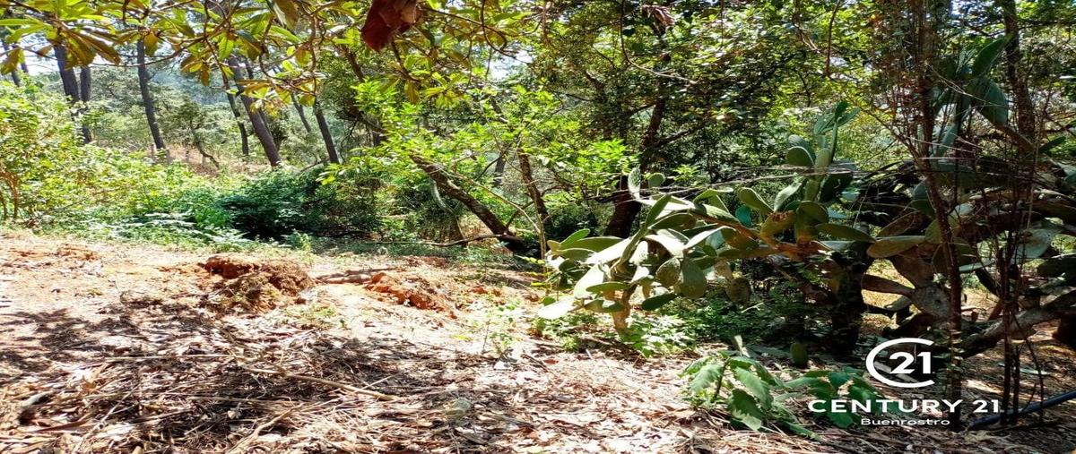 Foto de terreno habitacional en venta en avenida fontanas , avándaro, valle de bravo, méxico, 29458396 No. 07