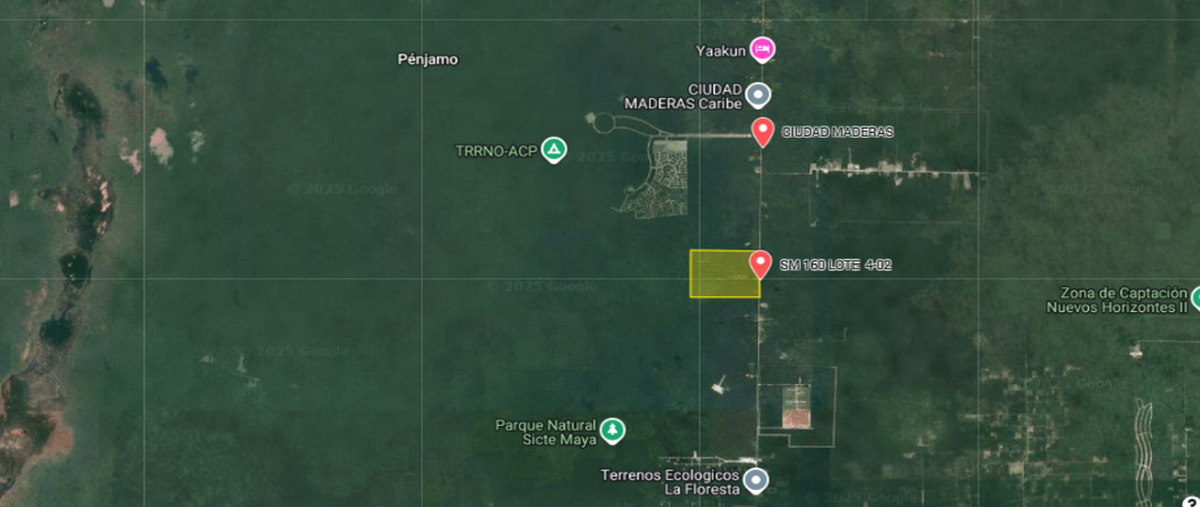 Foto de terreno habitacional en avenida francisco may 4-02, supermanzana 113, benito juárez, quintana roo, 0 foto 01 Foto de terreno habitacional en venta en avenida francisco may 4-02, supermanzana 113, benito juárez, quintana roo, 0 No. 01