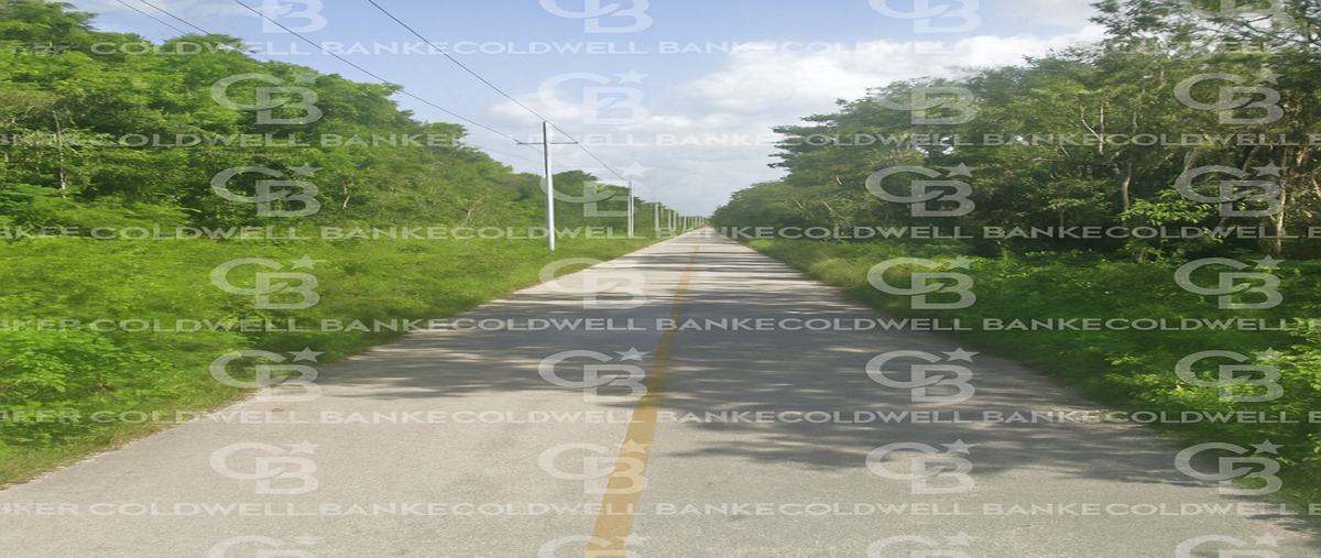 Foto de terreno habitacional en avenida francisco may 4-02, supermanzana 113, benito juárez, quintana roo, 0 foto 03 Foto de terreno habitacional en venta en avenida francisco may 4-02, supermanzana 113, benito juárez, quintana roo, 0 No. 03