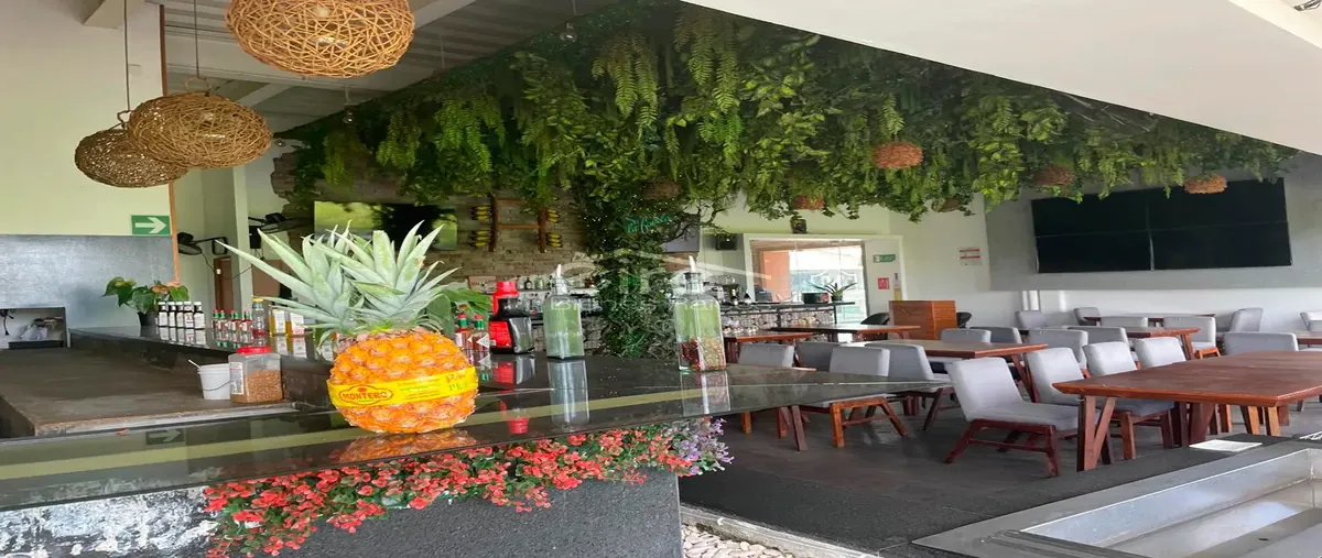 Foto de local en renta en avenida francisco villa 1010, gaviotas, puerto vallarta, jalisco, 0 No. 03