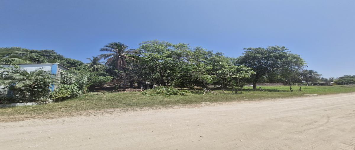Foto de terreno habitacional en venta en avenida general entre 1a y 2a oriente , puerto arista, tonalá, chiapas, 29776562 No. 03