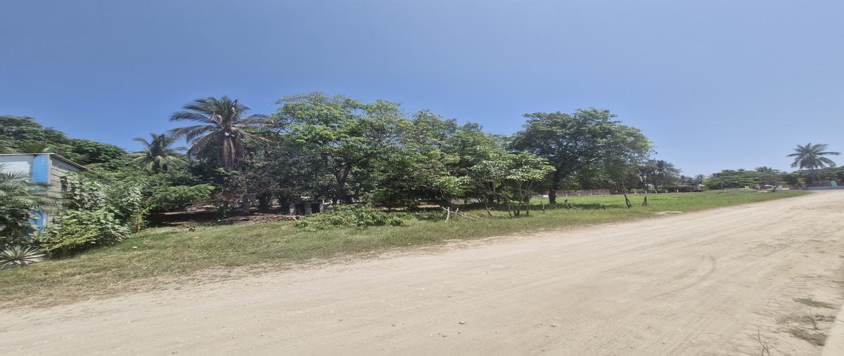 Foto de terreno habitacional en venta en avenida general entre 1a y 2a oriente , puerto arista, tonalá, chiapas, 29776562 No. 04
