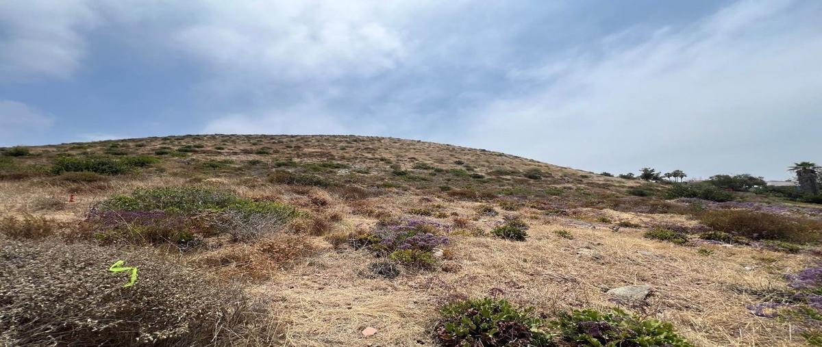 Foto de terreno habitacional en venta en avenida general josé de jesús clark flores , pedregal playitas, ensenada, baja california, 28741022 No. 05