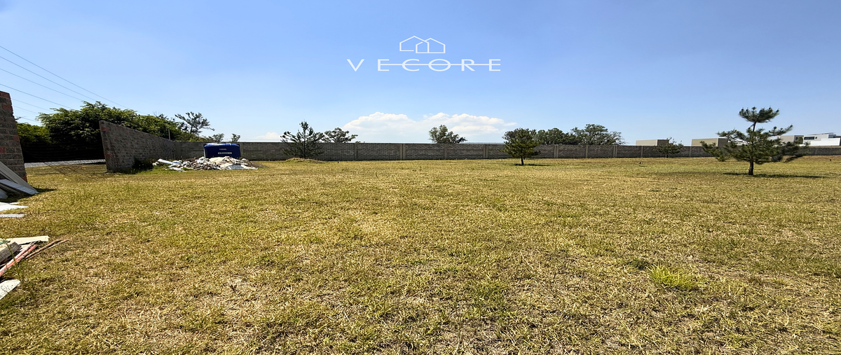 Foto de terreno habitacional en venta en avenida general ramon corona , hacienda san joaquín, zapopan, jalisco, 0 No. 05