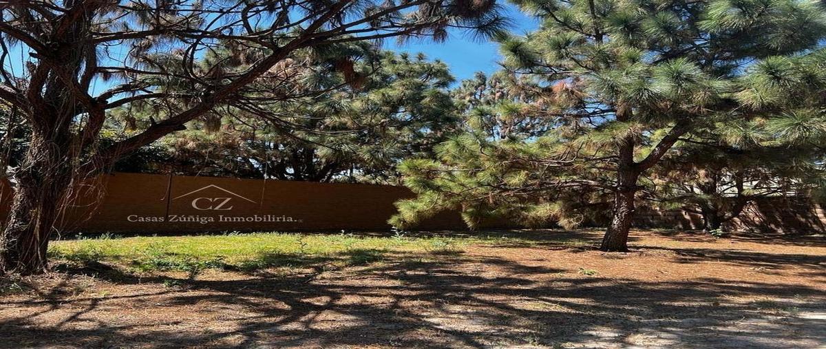 Foto de terreno habitacional en avenida general ramón corona , la mojonera, zapopan, jalisco, 29400942 foto 03 Foto de terreno habitacional en venta en avenida general ramón corona , la mojonera, zapopan, jalisco, 29400942 No. 03