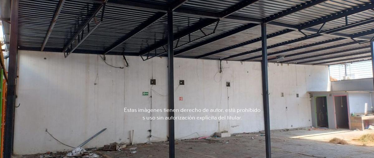 Foto de terreno habitacional en renta en avenida gonzalitos , gonzalitos, monterrey, nuevo león, 29042516 No. 02