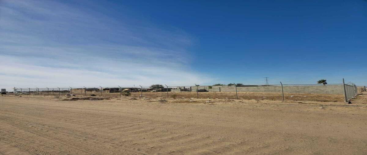 Foto de terreno habitacional en venta en avenida haiti , la grullita, san luis río colorado, sonora, 0 No. 05